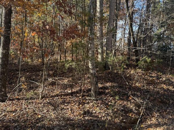 Scenic Woods Way, Sevierville, TN 37876
