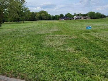 lot 11 Doral Court, Ledbetter, KY 42058