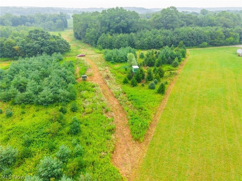 Lawndell SW Road, Beach City, OH 44608 Photo 3