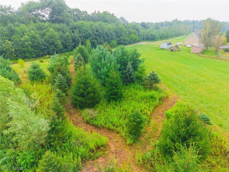 Lawndell SW Road, Beach City, OH 44608 Photo 36