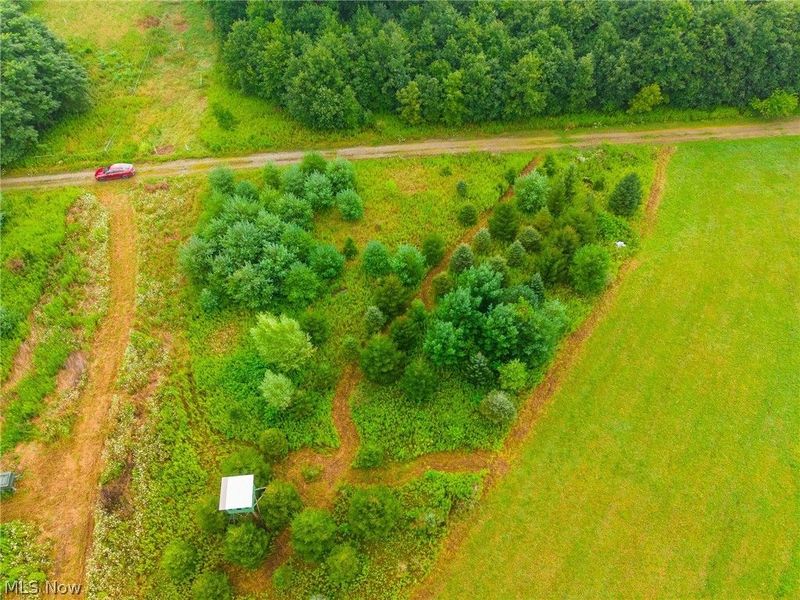 Lawndell SW Road, Beach City, OH 44608 Photo 38