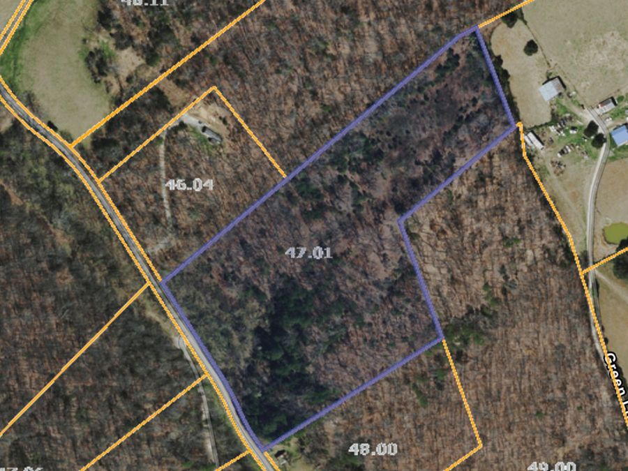 Property Image 3