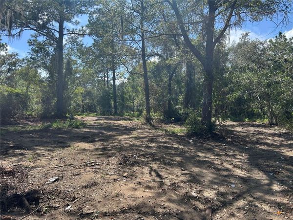 1631 NE 123RD TERRACE , WILLISTON, FL 32696