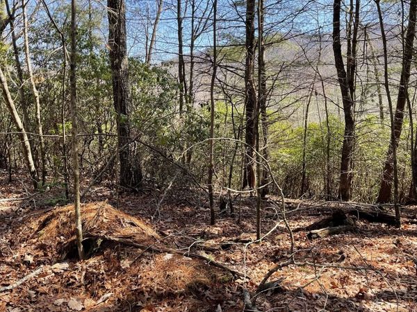0 Chesada Lane, Blairsville, GA 30512