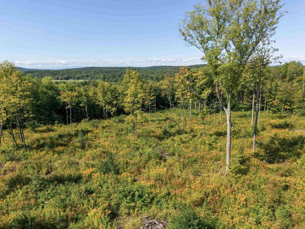 177 Cilley Hill Road, Unit 4, Jericho, VT 05465