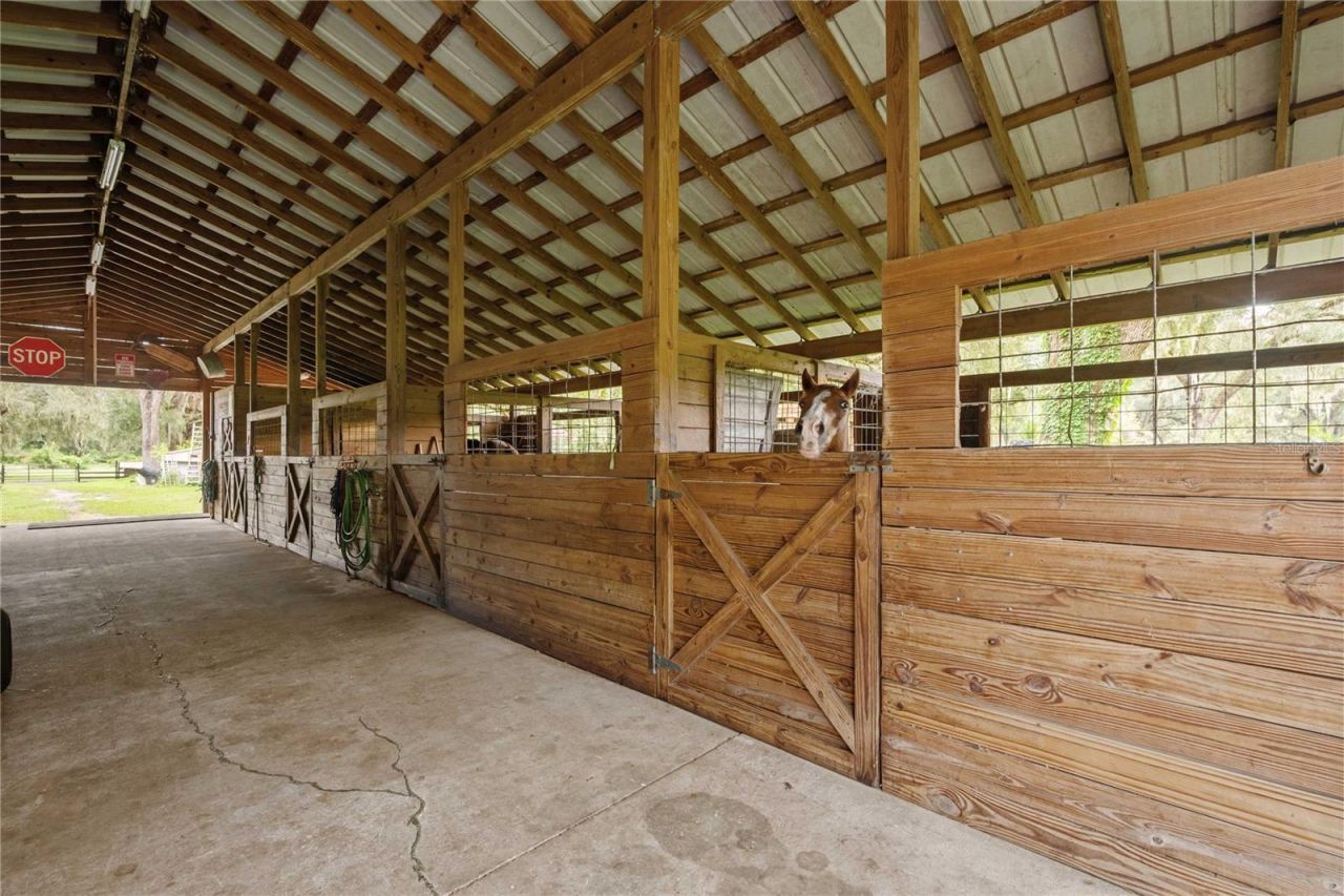 4457 Cr 542h, Bushnell, FL 33513 Photo