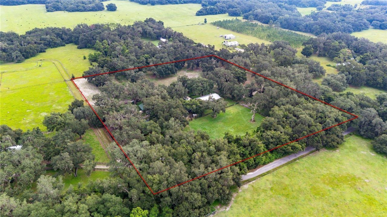 4457 Cr 542h, Bushnell, FL 33513 Photo
