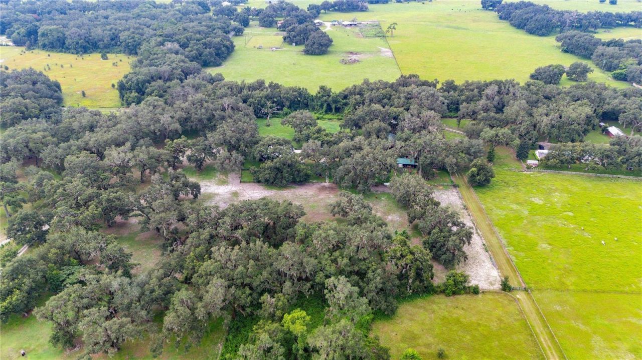 4457 Cr 542h, Bushnell, FL 33513 Photo