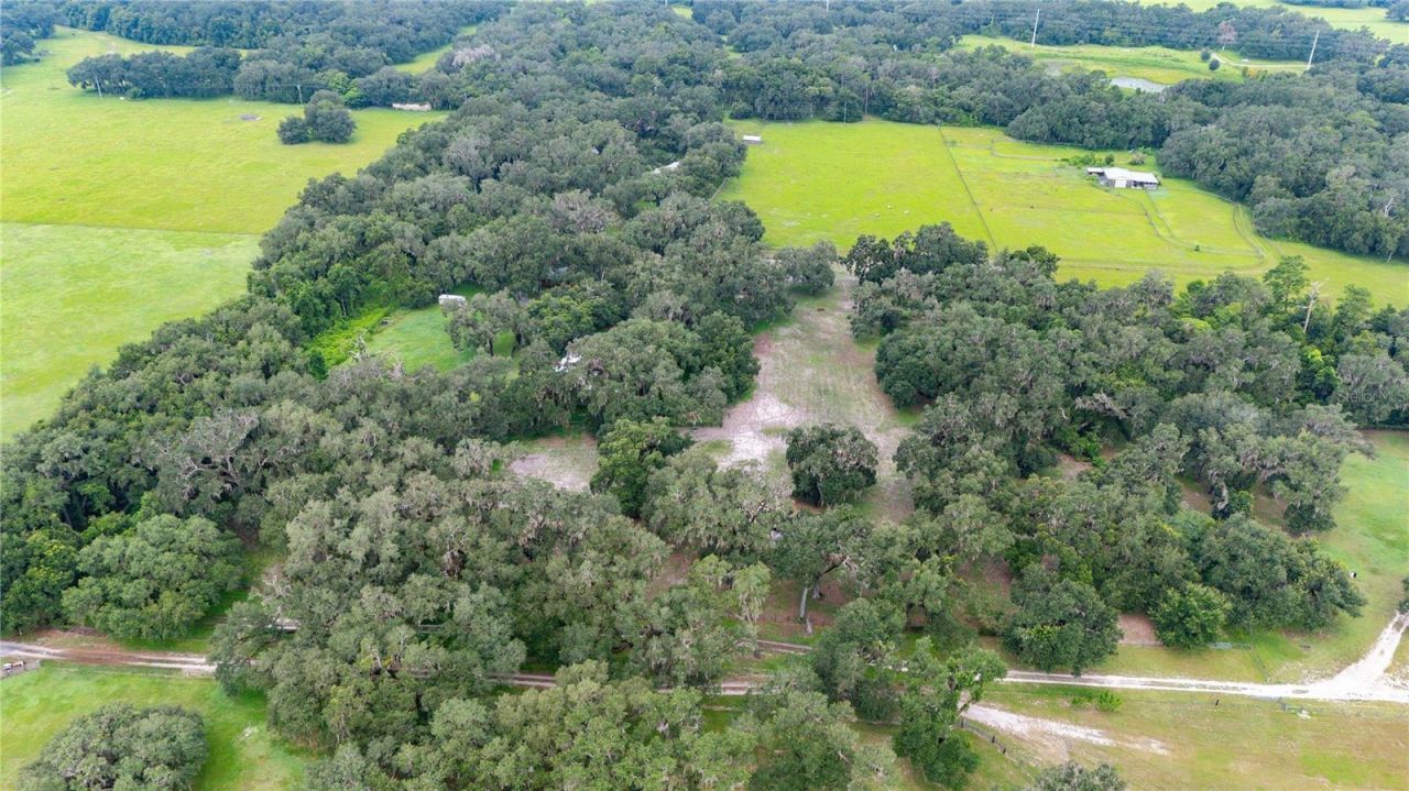 4457 Cr 542h, Bushnell, FL 33513 Photo