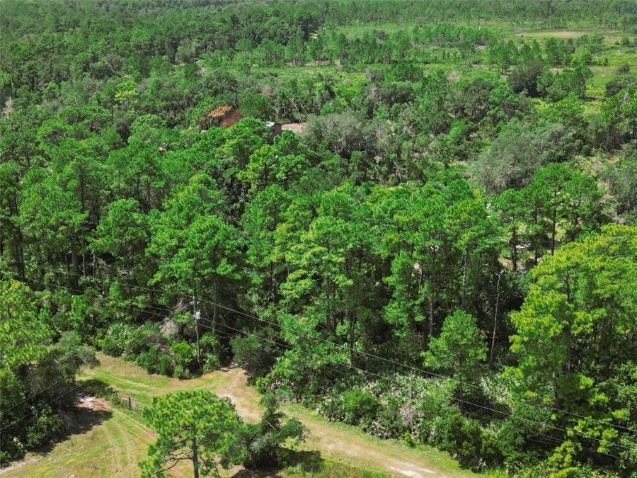 Property Image 41