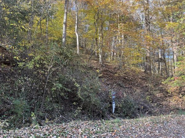 Trentham Way, Pigeon Forge, TN 37863
