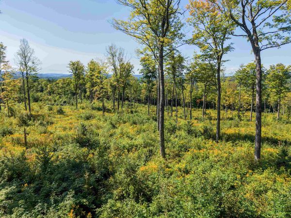 177 Cilley Hill Road, Unit 6, Jericho, VT 05465
