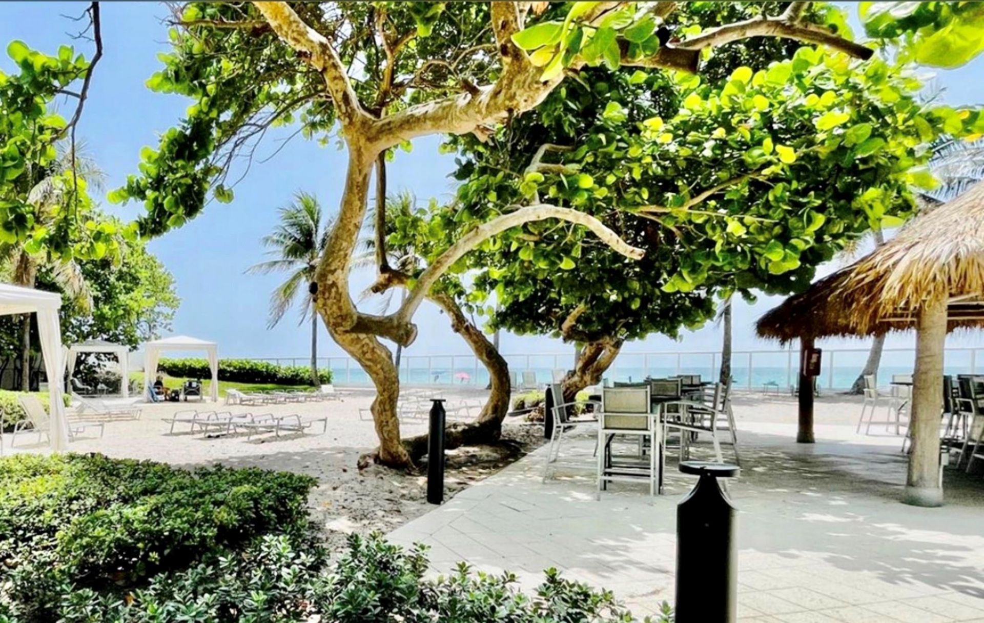 3001 S Ocean Drive, Hollywood, FL 33019 Photo