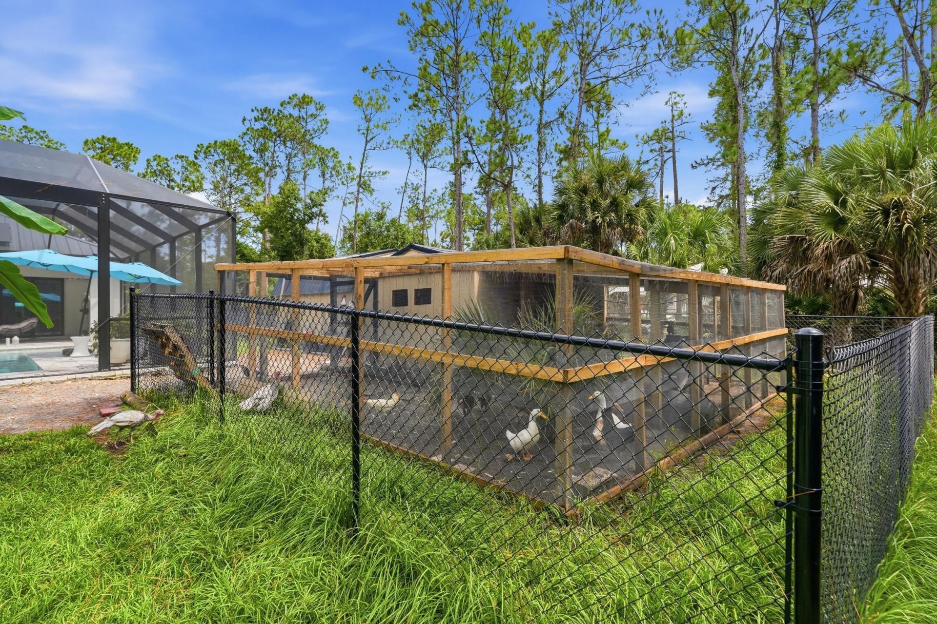 6547 Beedla Street, North Port, FL 34291 Photo