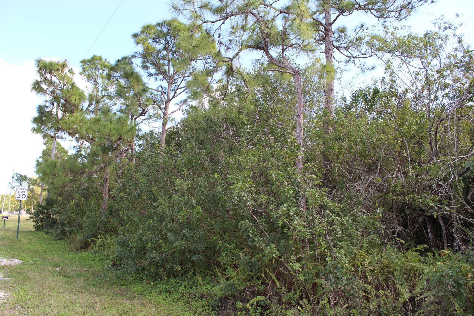 17992 94th Street N, Loxahatchee, FL 33470 Photo