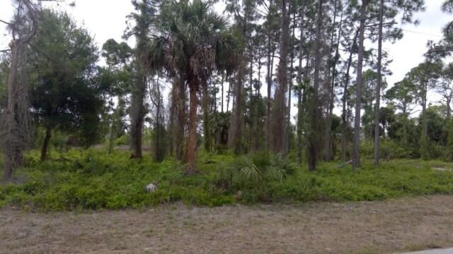1234 Count Street E, Lehigh Acres, FL 33974 Photo