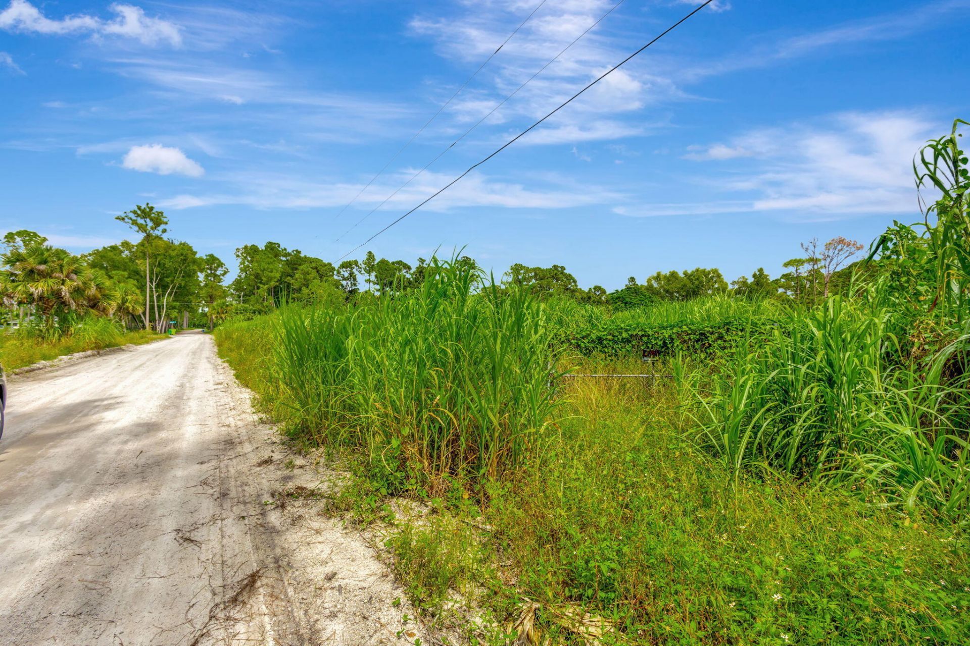 15532 43rd Street N, Loxahatchee Groves, FL 33470 Photo