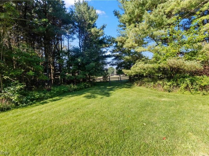 5270 Township Road 219, Bloomingdale, OH 43910 Photo 4