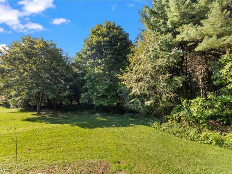 5270 Township Road 219, Bloomingdale, OH 43910 Photo 5