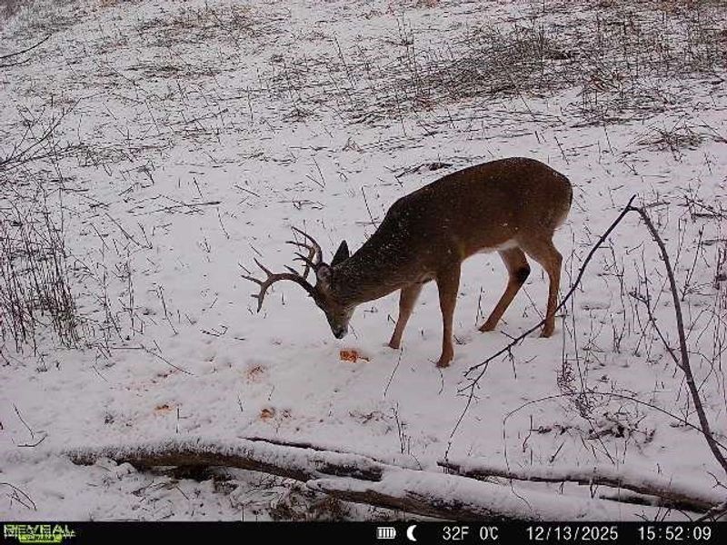 Putney Ridge Road, Quaker City, OH 43773 Photo 14