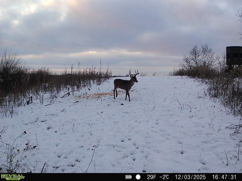 Putney Ridge Road, Quaker City, OH 43773 Photo 15