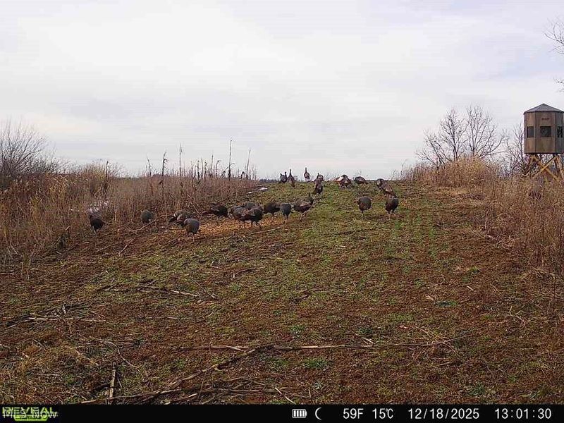 Putney Ridge Road, Quaker City, OH 43773 Photo 17