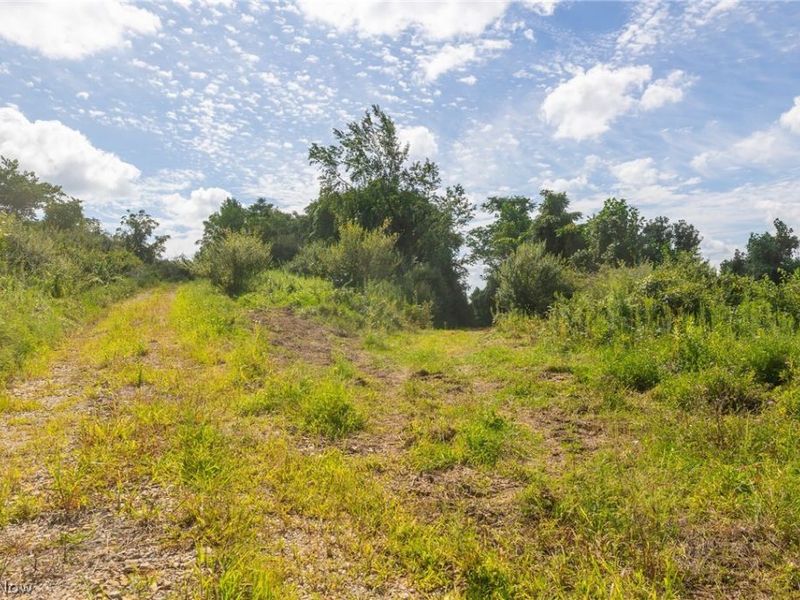 Putney Ridge Road, Quaker City, OH 43773 Photo 21