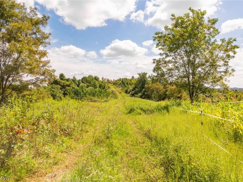 Putney Ridge Road, Quaker City, OH 43773 Photo 23