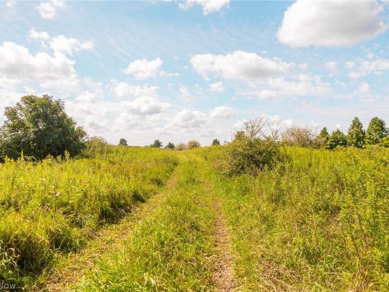 Putney Ridge Road, Quaker City, OH 43773 Photo 29
