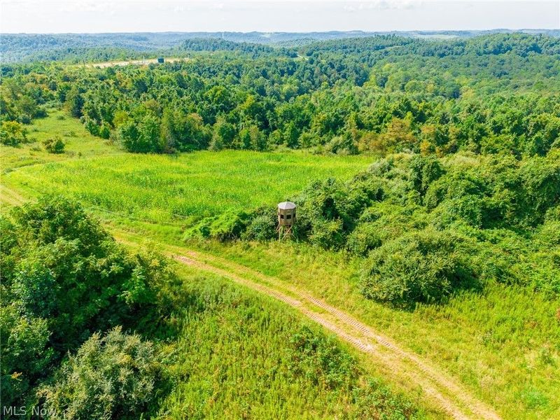 Putney Ridge Road, Quaker City, OH 43773 Photo 3