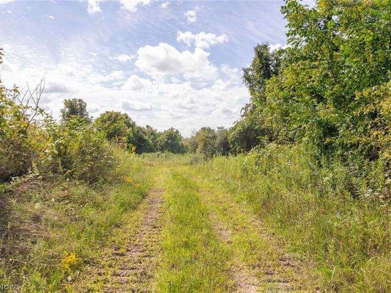 Putney Ridge Road, Quaker City, OH 43773 Photo 30