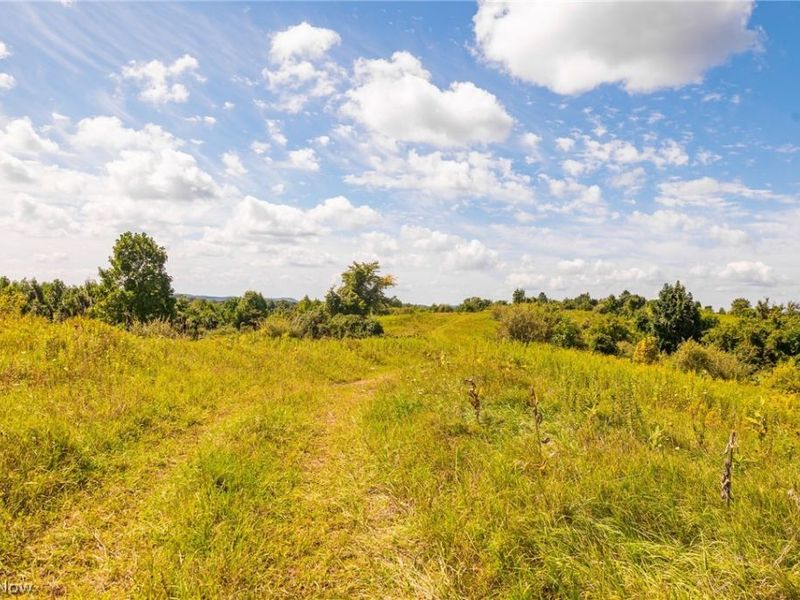 Putney Ridge Road, Quaker City, OH 43773 Photo 34