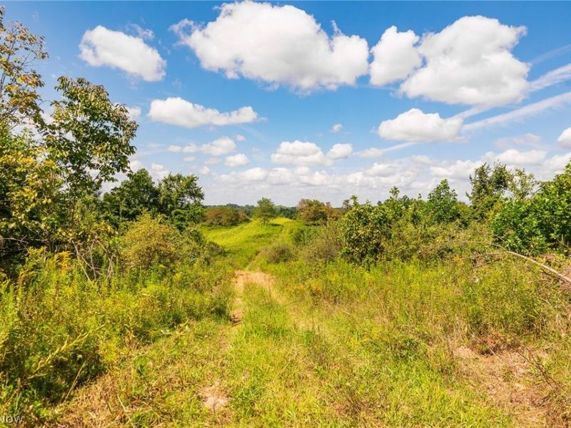 Putney Ridge Road, Quaker City, OH 43773 Photo 37