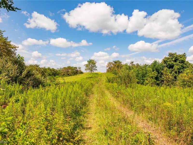 Putney Ridge Road, Quaker City, OH 43773 Photo 39