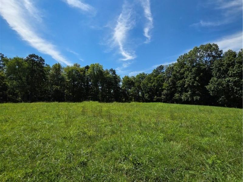 Brimstone Road, Coolville, OH 45732 Photo 11