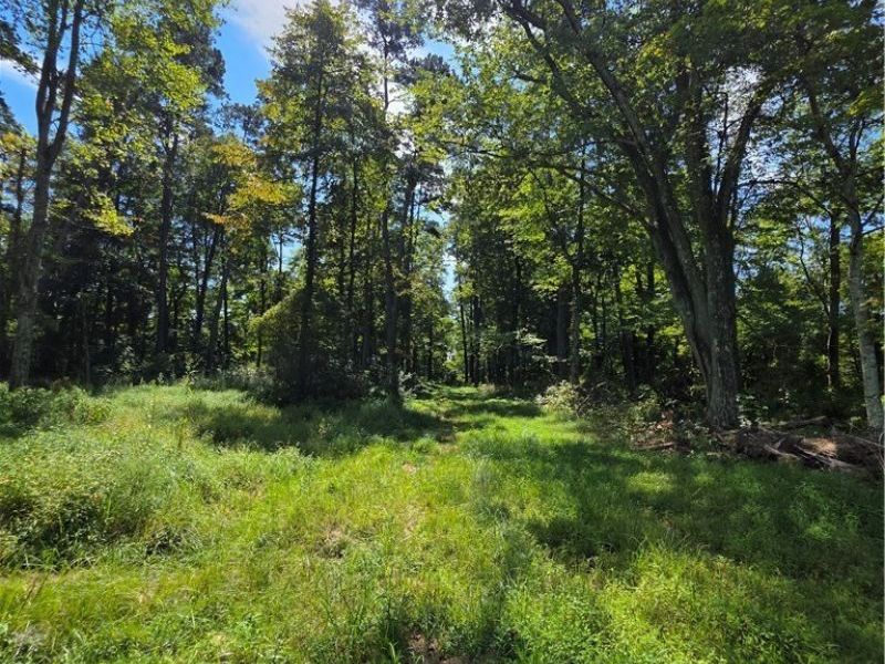 Brimstone Road, Coolville, OH 45732 Photo 12