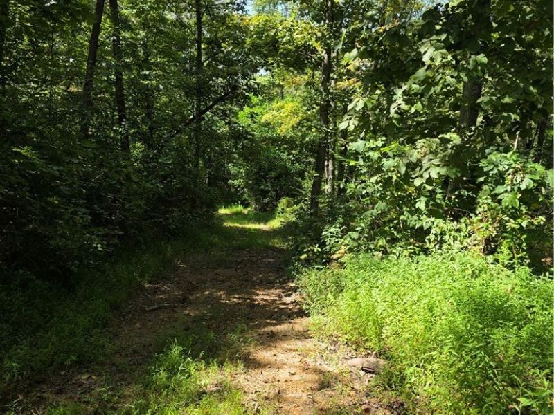 Brimstone Road, Coolville, OH 45732 Photo 14