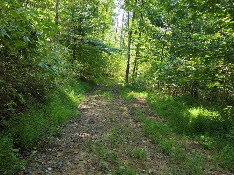 Brimstone Road, Coolville, OH 45732 Photo 15