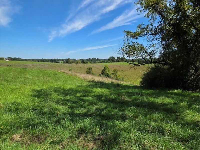 Brimstone Road, Coolville, OH 45732 Photo 18