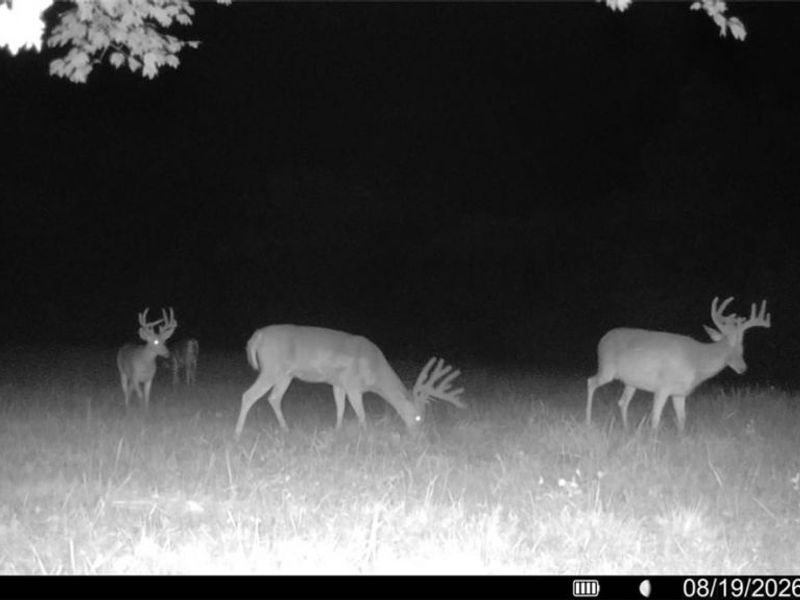 Brimstone Road, Coolville, OH 45732 Photo 23