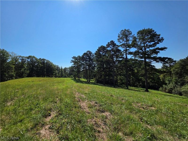 Brimstone Road, Coolville, OH 45732 Photo 5