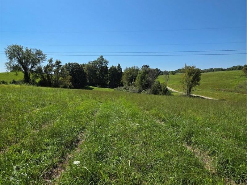 Brimstone Road, Coolville, OH 45732 Photo 8