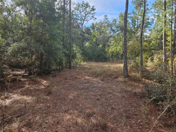ROSEHILL DRIVE , WEBSTER, FL 33597