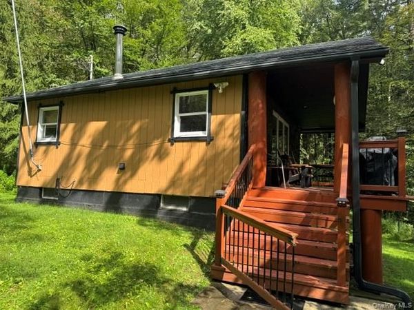 315 Tweedie Road , East Branch, NY 13783