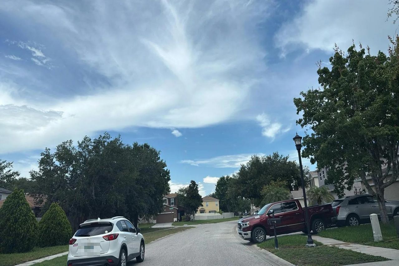 19400 Timberbluff Drive , Other Florida, FL 34638 Photo