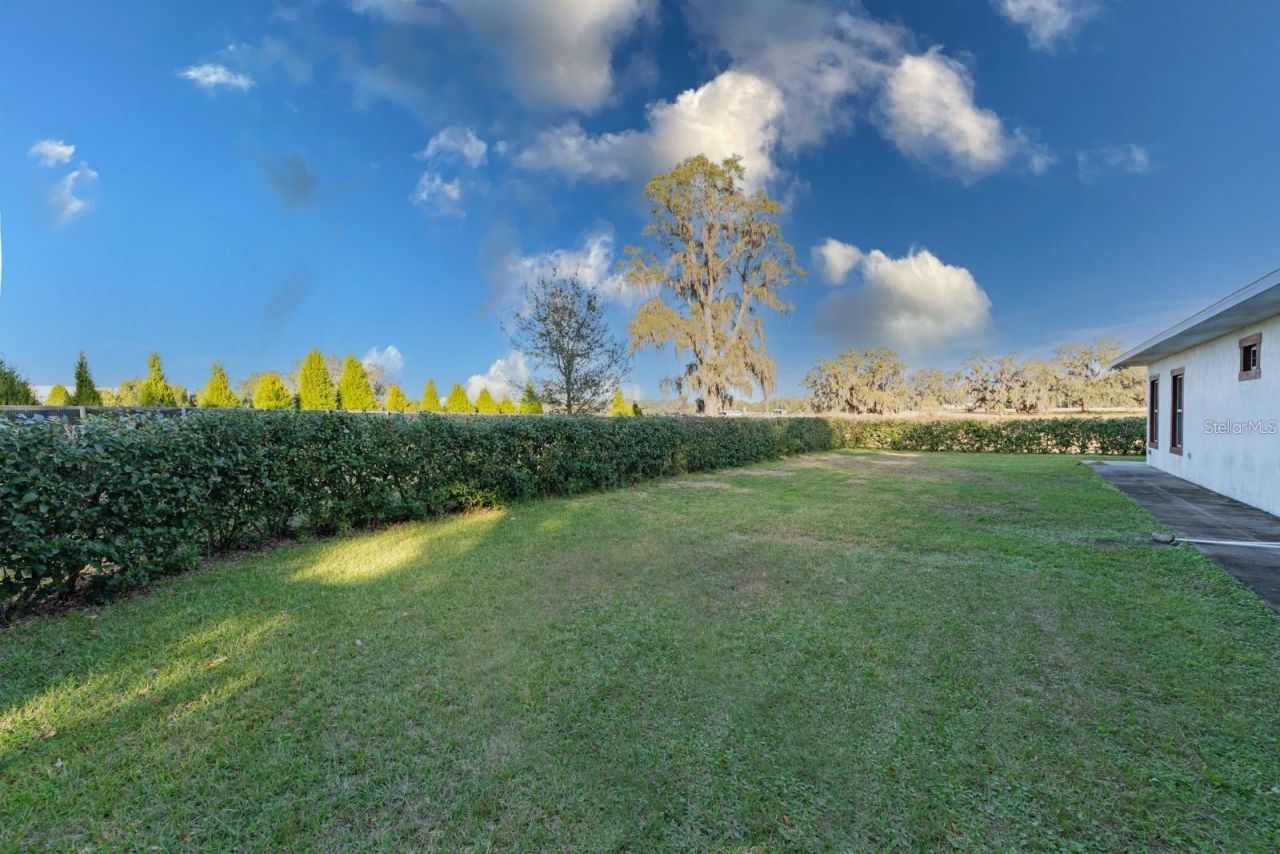 9606 Ripley Road, Thonotosassa, FL 33592 Photo