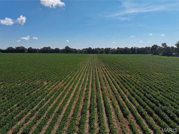 36996 State Highway 53 , Campbell, MO 63933