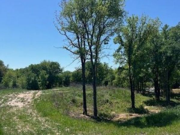 1004 Bermes Court , Brock, TX 76087