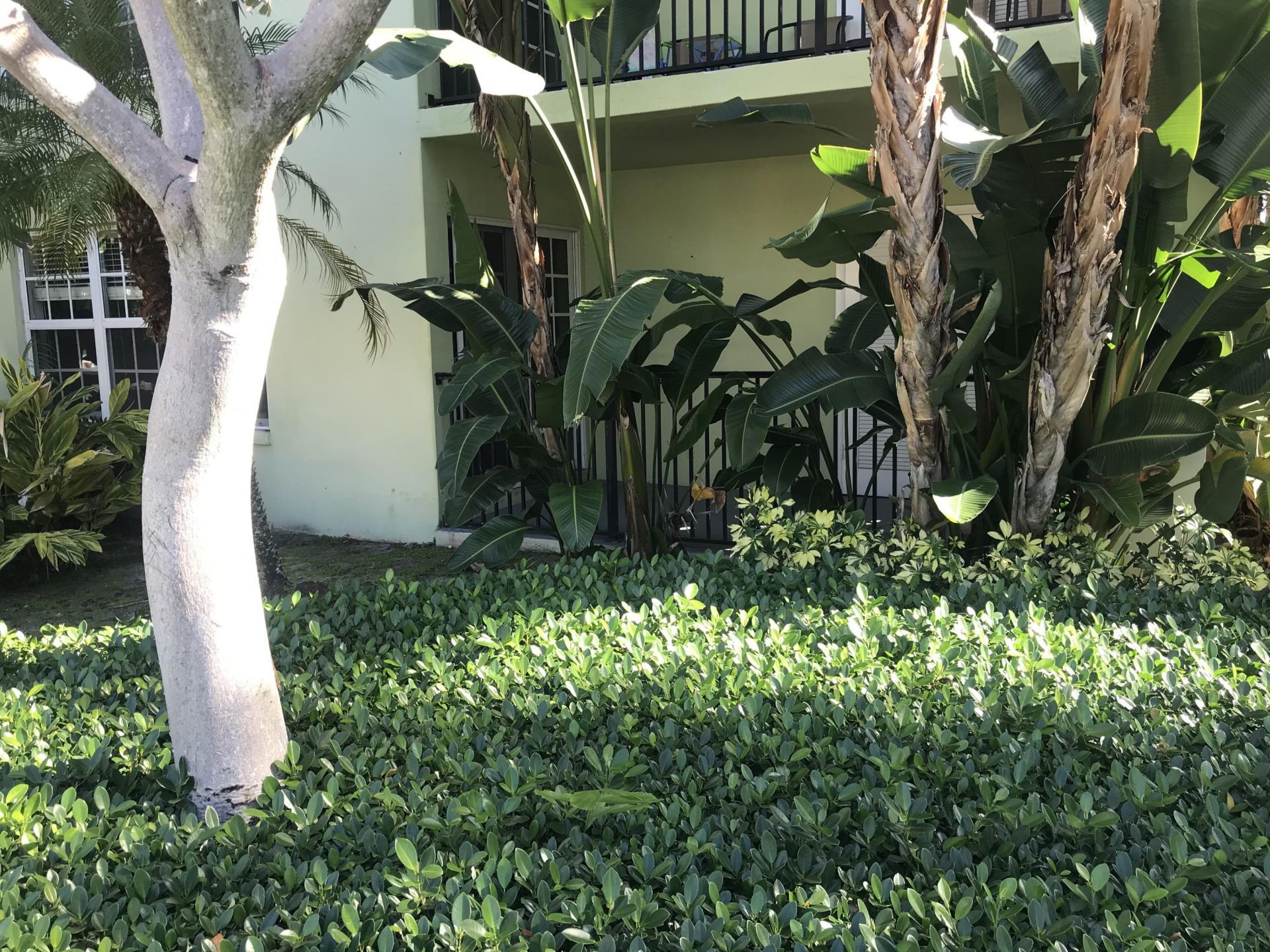 120 N Lakeside Drive, Unit Apartment, Lake Worth Beach, FL 33460 Photo