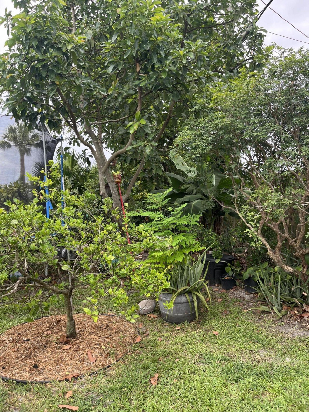 4400 Applecrest Drive, Palm Beach Gardens, FL 33410 Photo